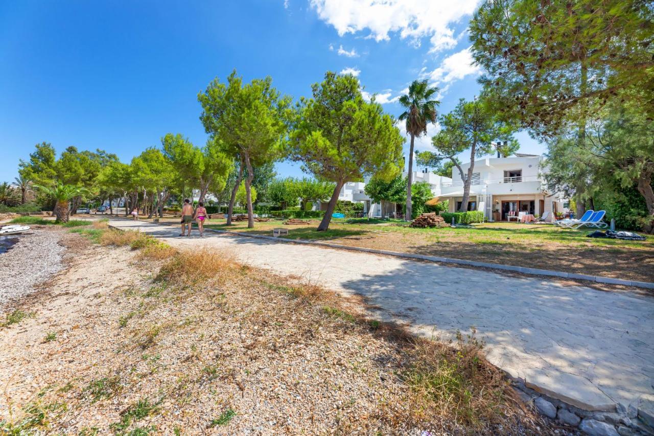 Camp De Mar Alcudia (Mallorca)
